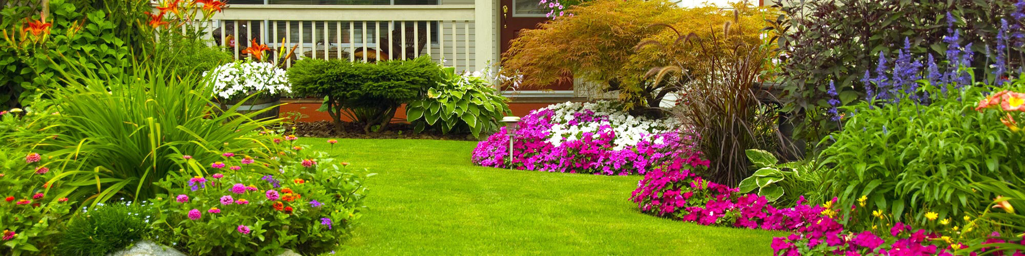 Backyard Landscaping